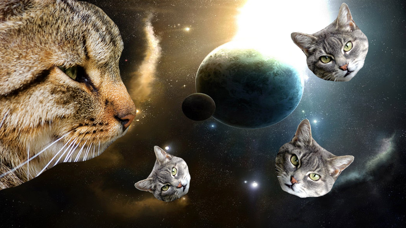 Illustration for article titled My God, It's Full Of Cats! The Very Best Artwork Of Cats In Space
